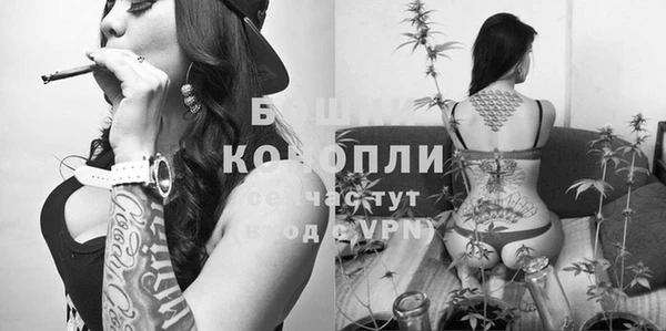 a pvp Арсеньев
