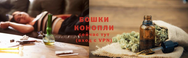 молекула духа Аркадак