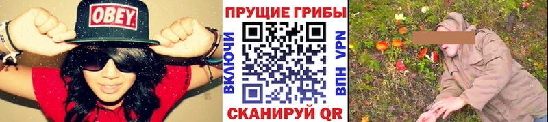 цена   Чехов  Галлюциногенные грибы прущие грибы 
